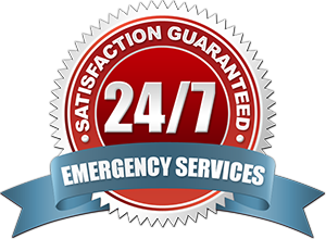 24/7 Carpet Cleaning service